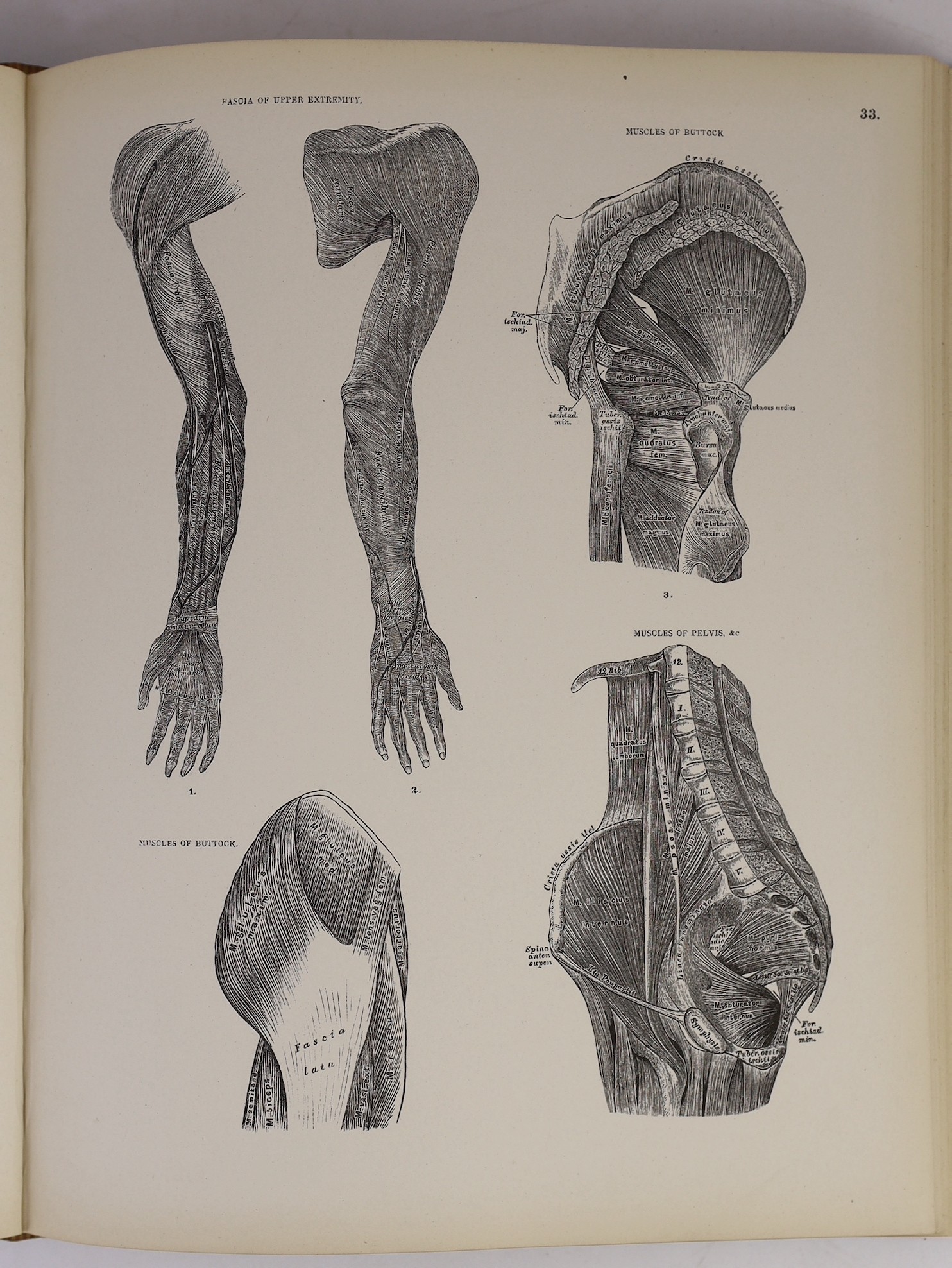 Smith, Noble - The Descriptive Atlas of Anatomy, 4to, cloth, with 92 plates, Smith, Elder & Co., London, 1880